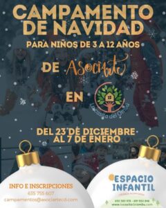 campamento navidad asociarte