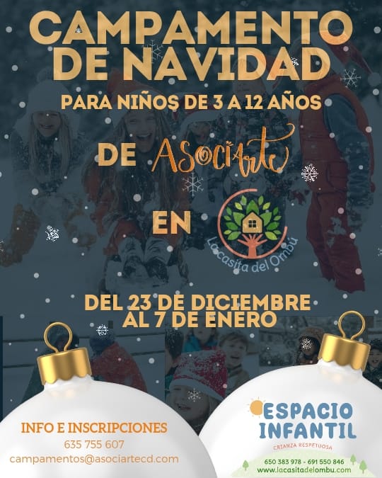 campamento navidad asociarte